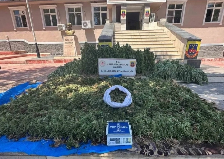 Son dakika