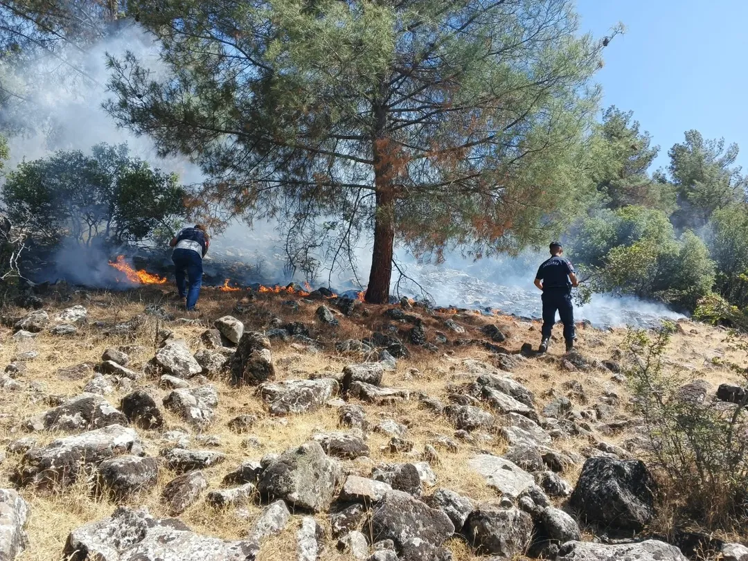 Son dakika