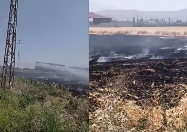 Son dakika